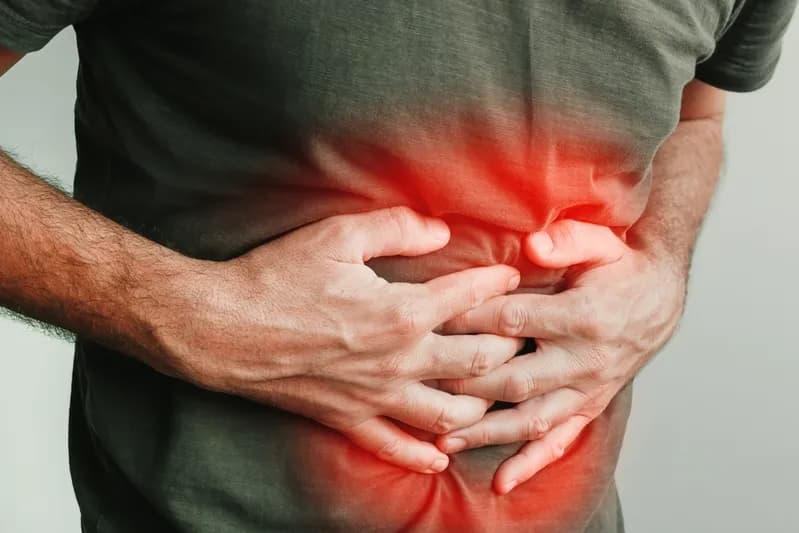 A Guide to Dysbiosis & Autoimmunity