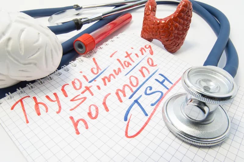 What High TSH Levels Actually Mean & Why Thyroid Medication Isn’t Always the Answer