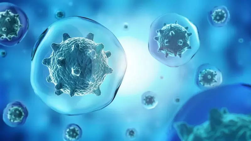 t-cells-980×551