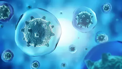 t-cells-980×551