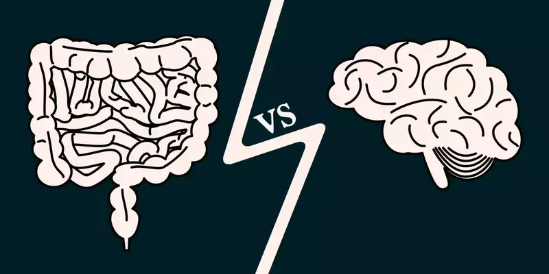 gut vs brain