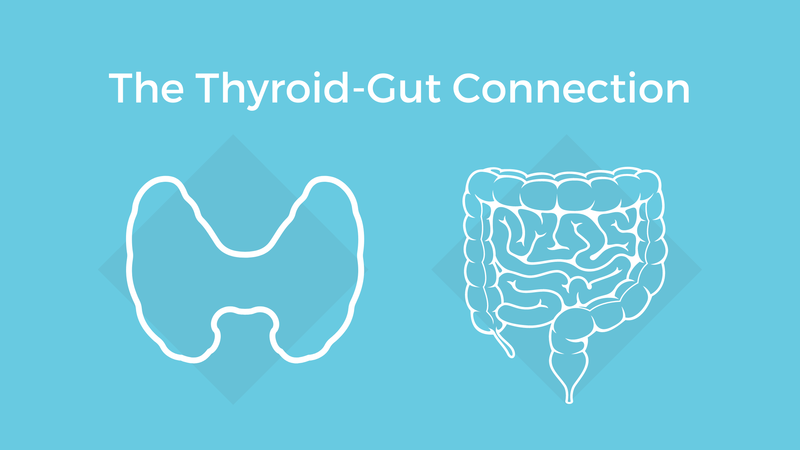 The Thyroid Gut Connection