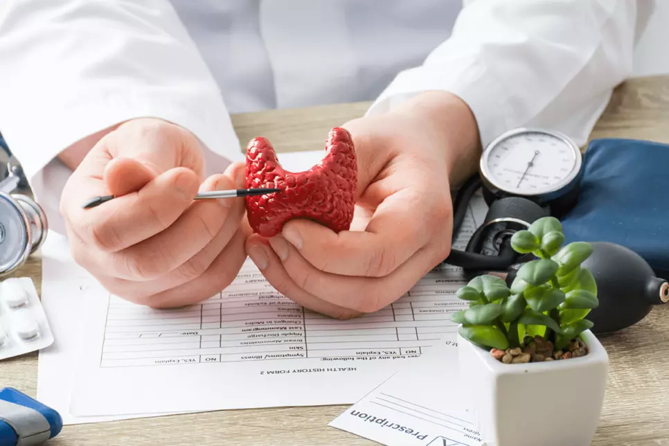 doctor pointing to thyroid